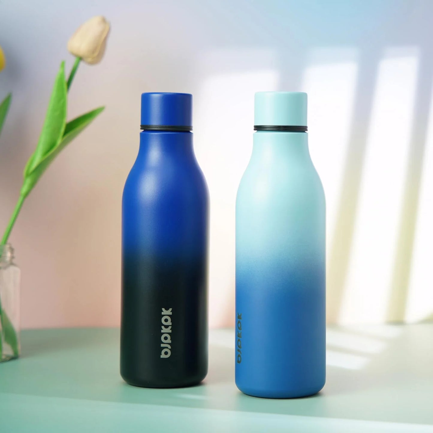 Insulated Water Bottles with Strap,25Oz Stainless Steel Metal Flask,Sky