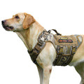 Tactical Dog Harness with No-Pull Front Clip, MOLLE Panels & Zipper Pocket