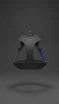 Minimalist Adjustable Charcoal Harness
