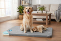Water-Resistant Large Dog Bed 38"x26" with Memory Foam