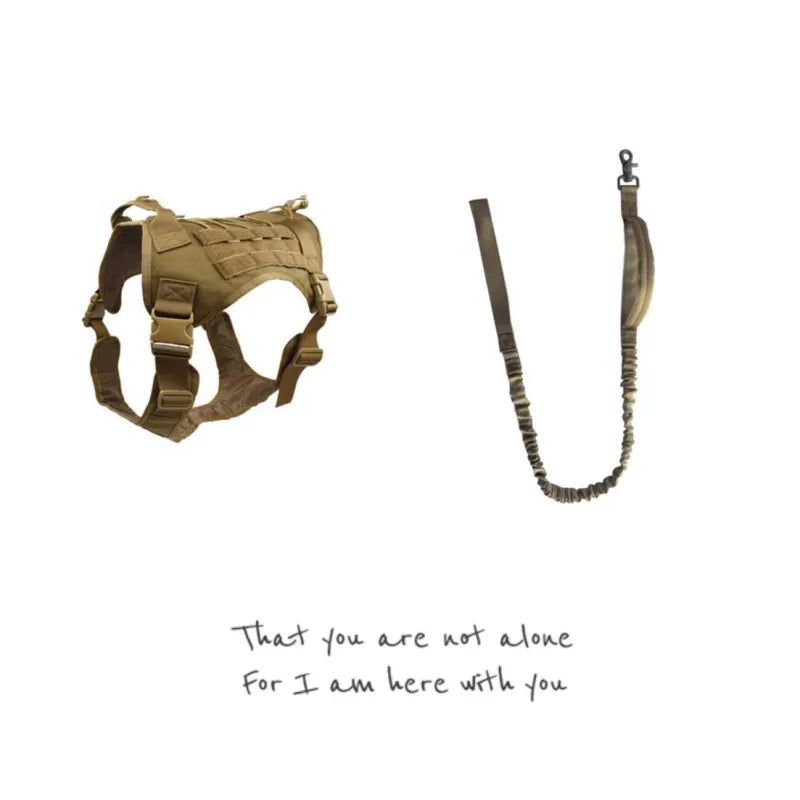 Advanced Tactical Dog Vest