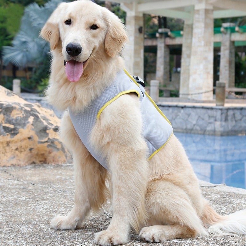 Pooch Chill Vest: Heat Relief & Style