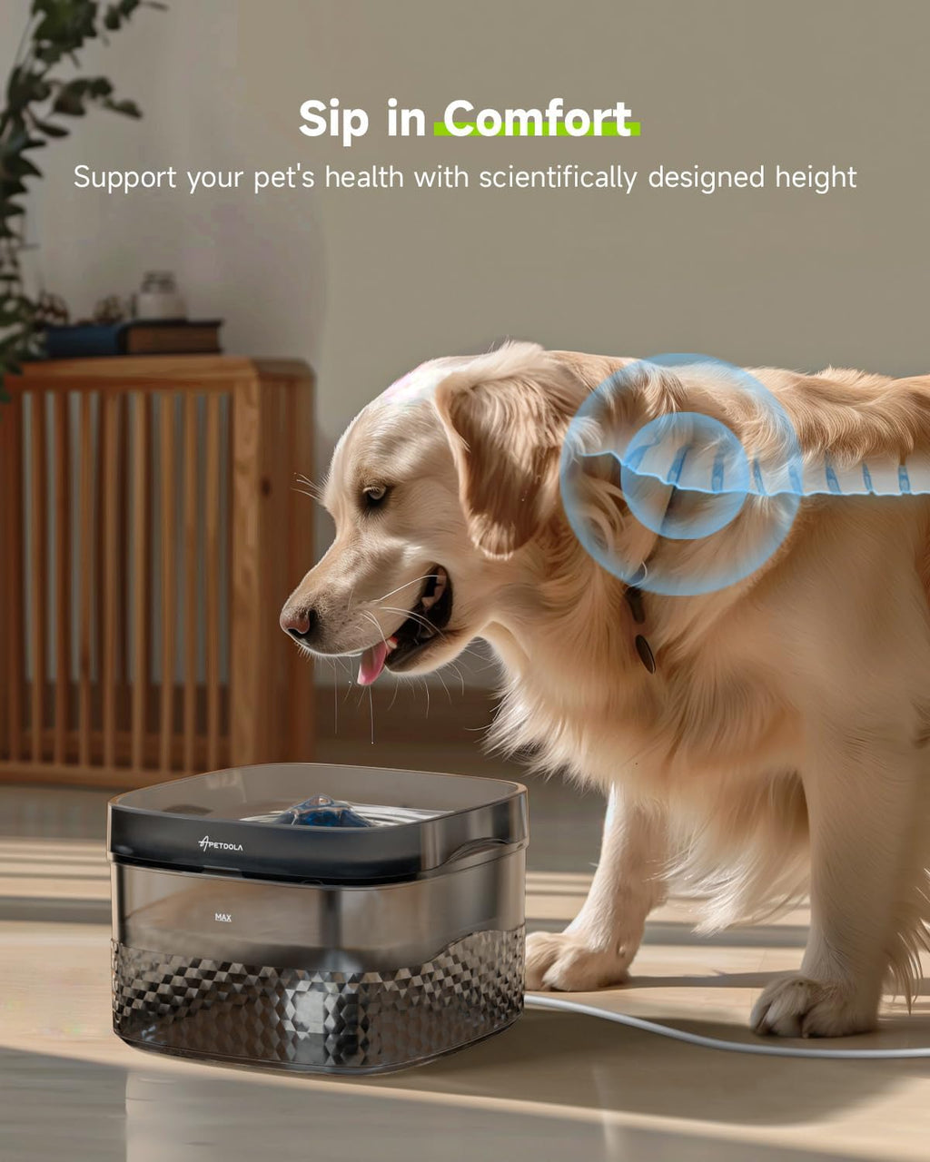 HydraPup Large Capacity Pet Fountain