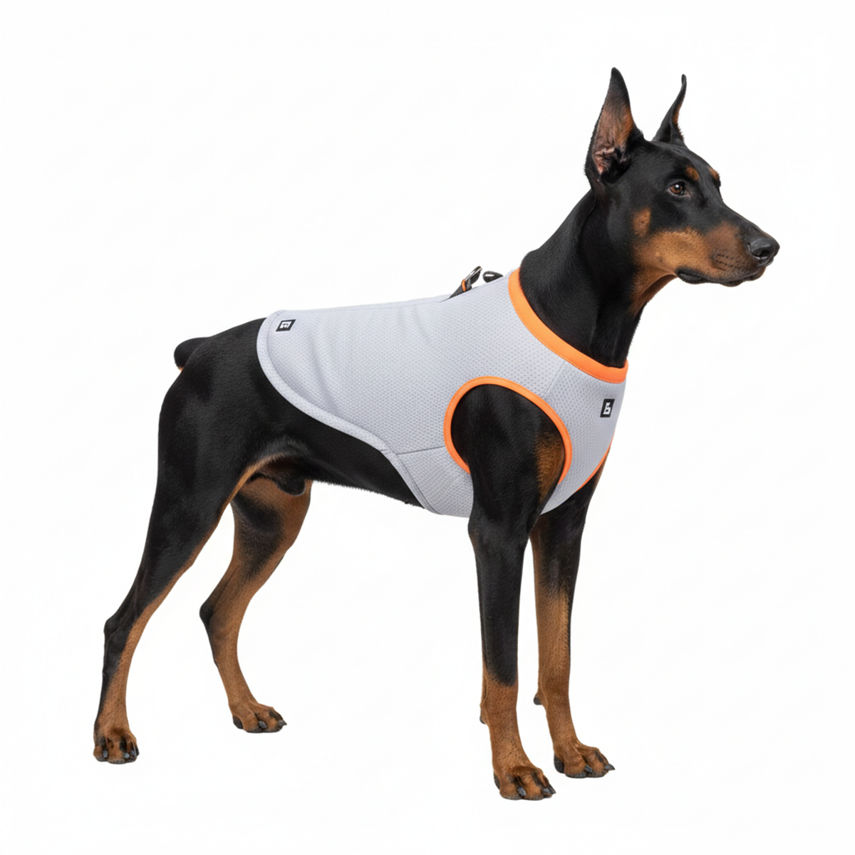 ChillPup Cooling Vest Harness - Large