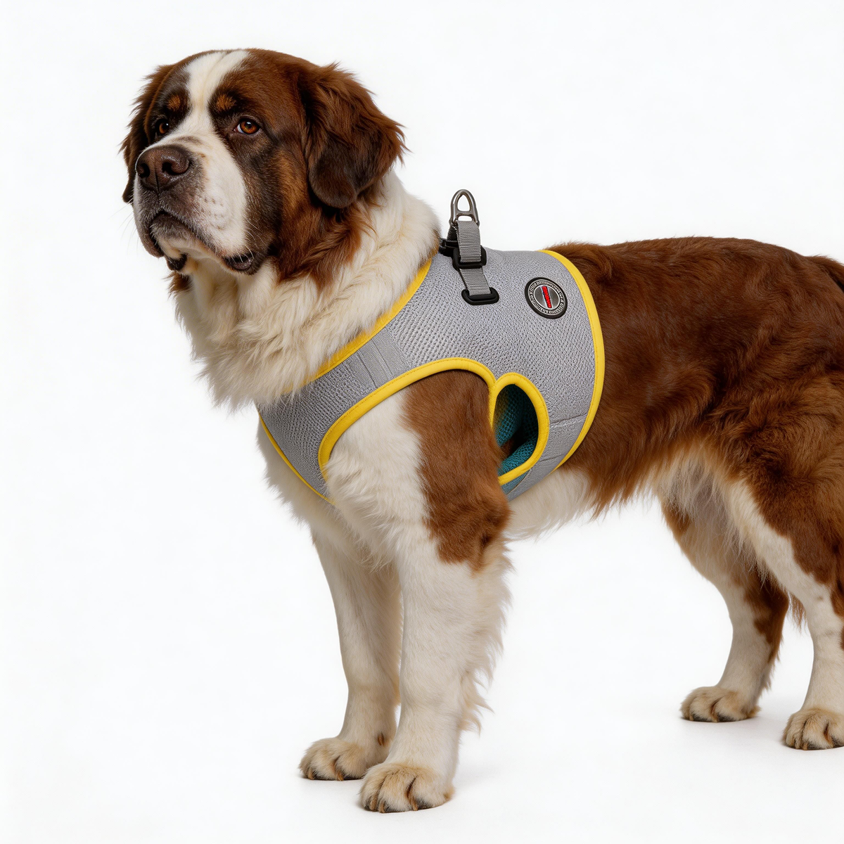 Pooch Chill Vest: Heat Relief & Style