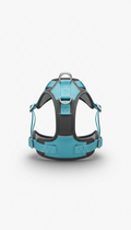 No-Pull Dog Harness with Technical Webbing